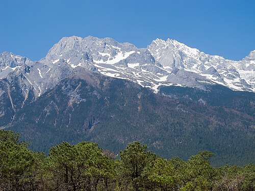 Jade Dragon Snow Mountain rising above pine forest near Lijiang